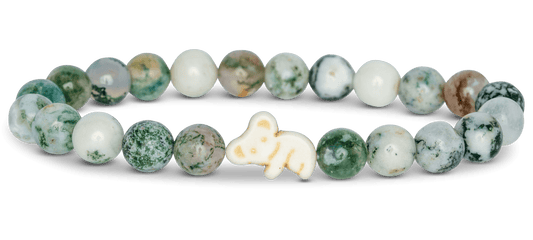 🐨Wildtrack Koala Journey Scout Bracelet